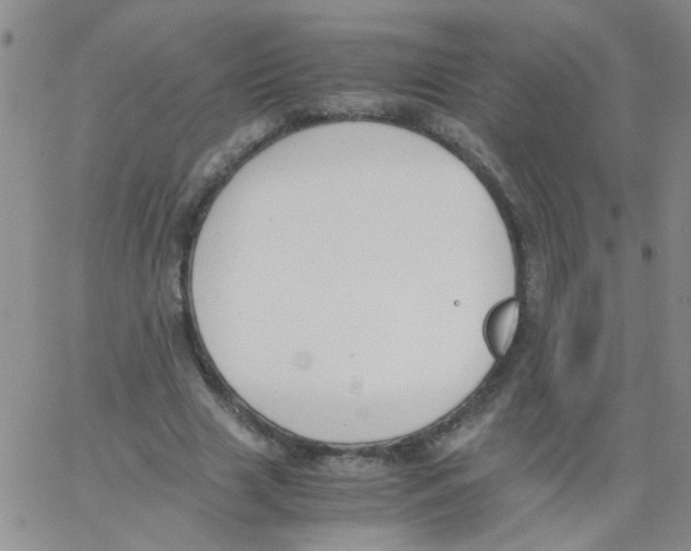 X0000062670633200601181901