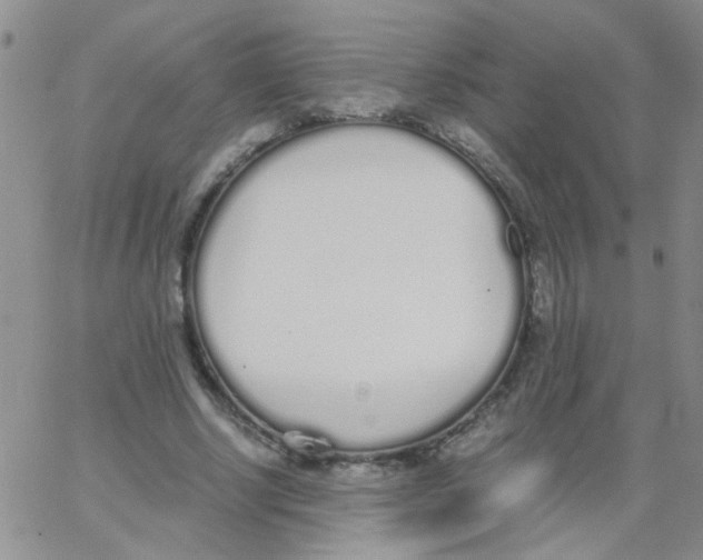 X0000062670634200601181901