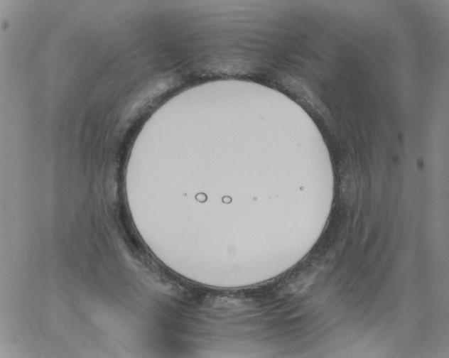 X0000062670635200601181901