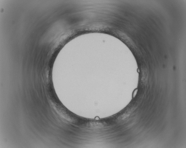 X0000062670636200601181901