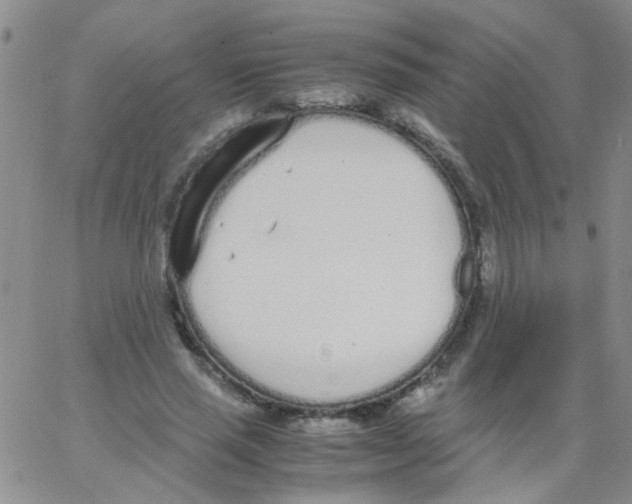 X0000062670637200601181901