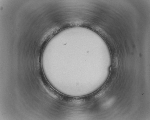 X0000062670638200601181901