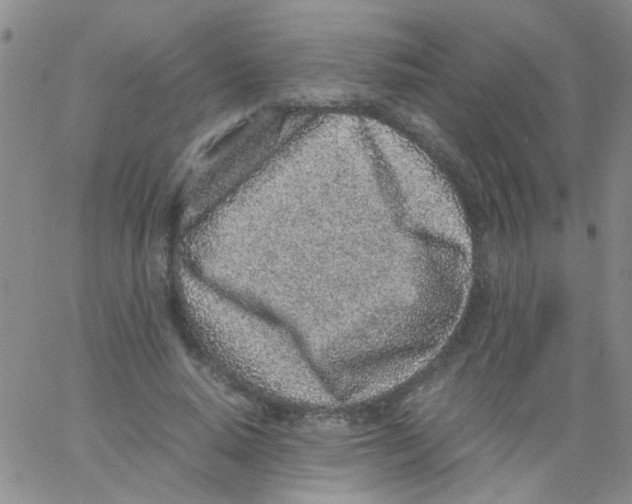 X0000062670640200601181901