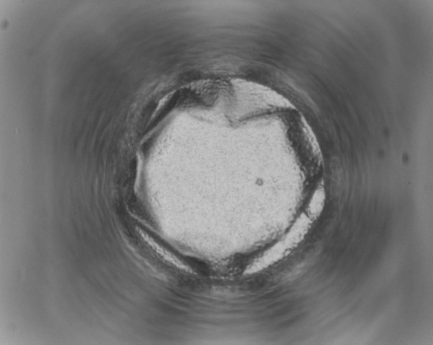 X0000062670641200601181901