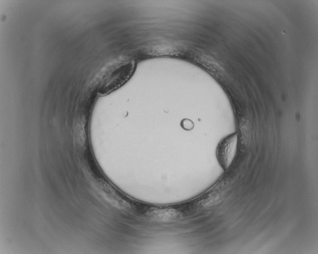 X0000062670642200601181901