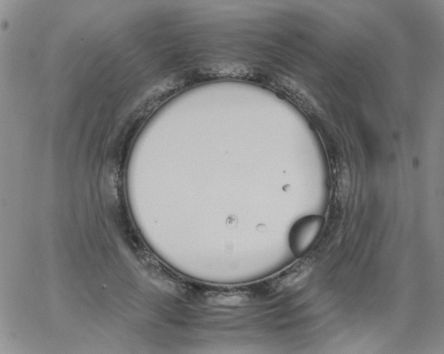 X0000062670643200601181901