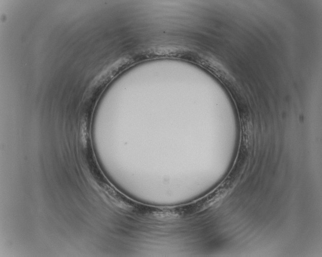 X0000062670644200601181901