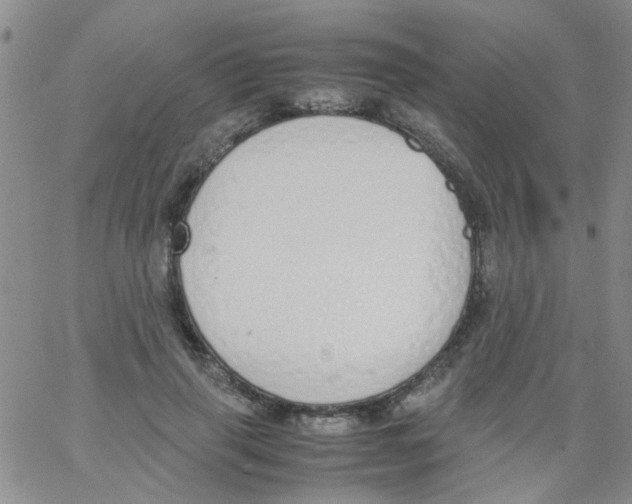 X0000062670645200601181901