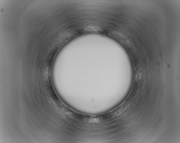 X0000062670647200601181901