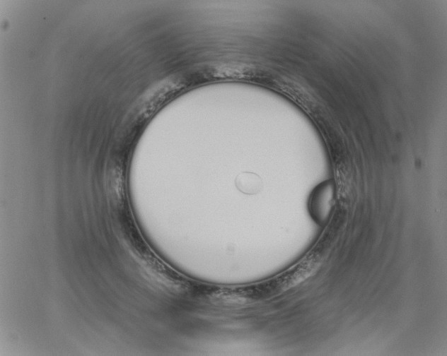 X0000062670648200601181901