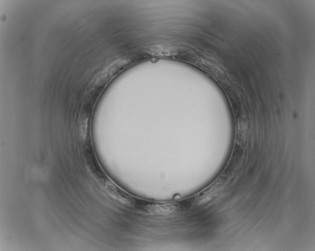 X0000062670652200601181901