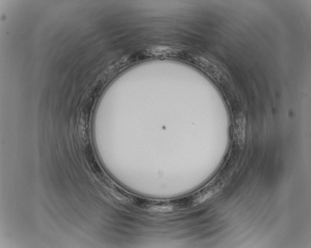 X0000062670653200601181901