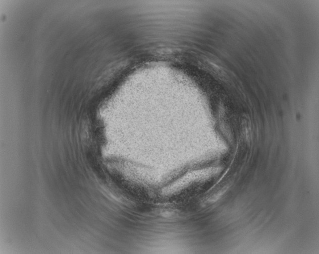 X0000062670654200601181902