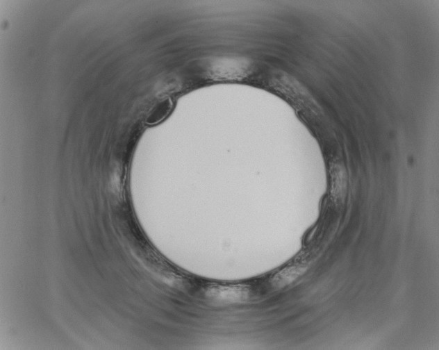 X0000062670655200601181902