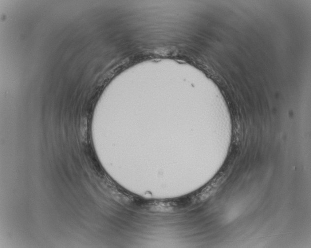 X0000062670656200601181902