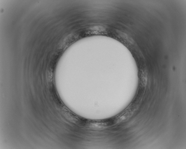 X0000062670657200601181902