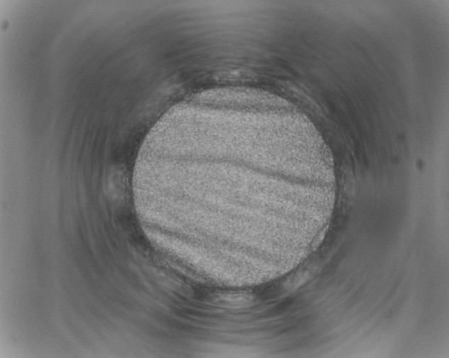 X0000062670659200601181902