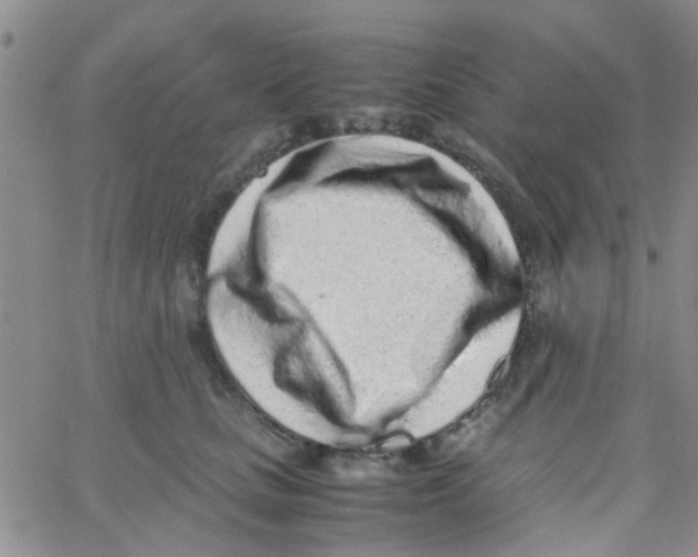 X0000062670661200601181902