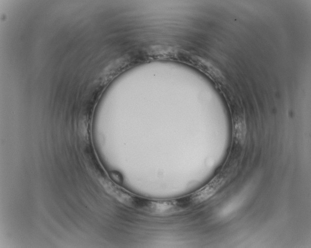 X0000062670662200601181902