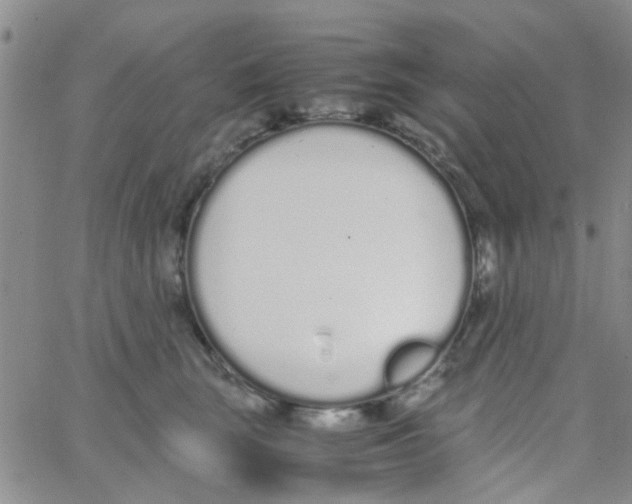 X0000062670663200601181902