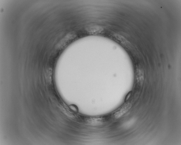 X0000062670664200601181902