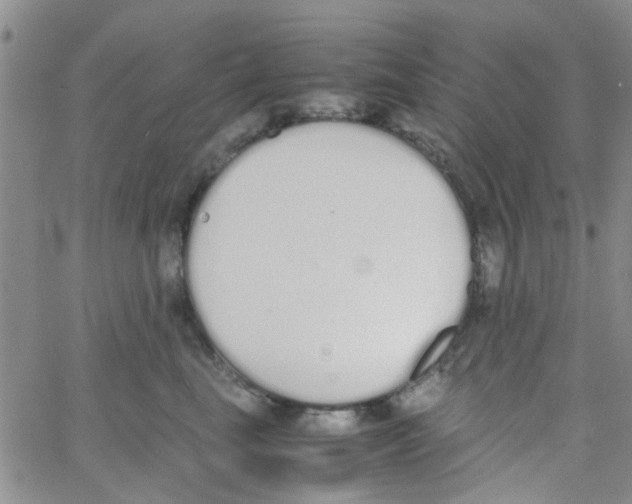 X0000062670665200601181902