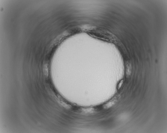 X0000062670666200601181902