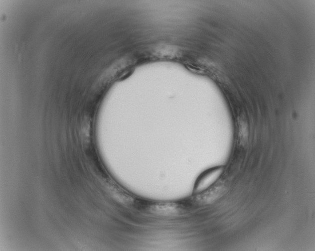 X0000062670668200601181902