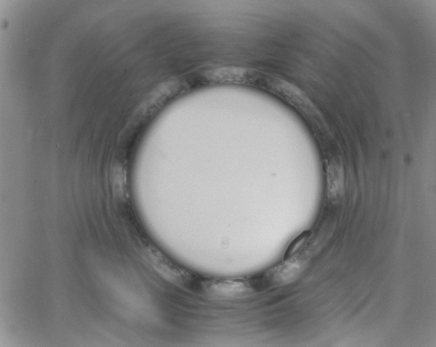 X0000062670669200601181902