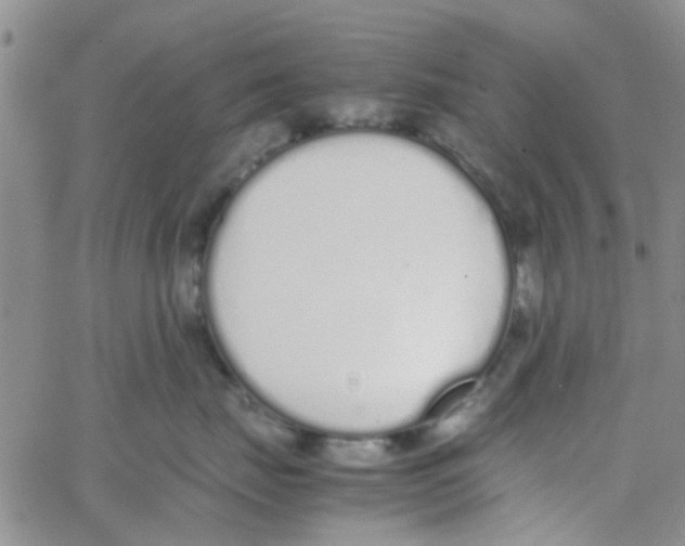 X0000062670671200601181902