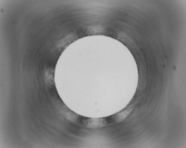 X0000062670672200601181902