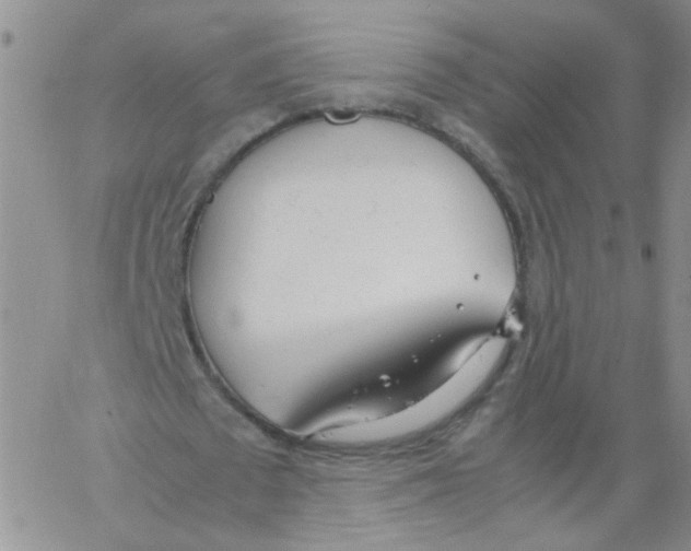 X0000062670673200601181901