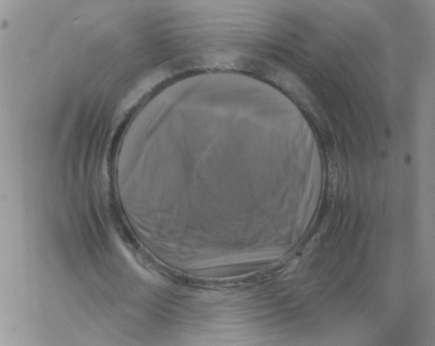 X0000062670674200601181901