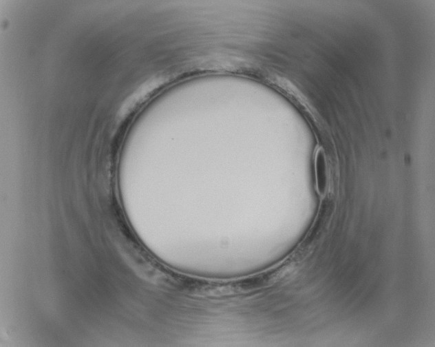 X0000062670675200601181901