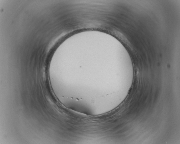 X0000062670676200601181901