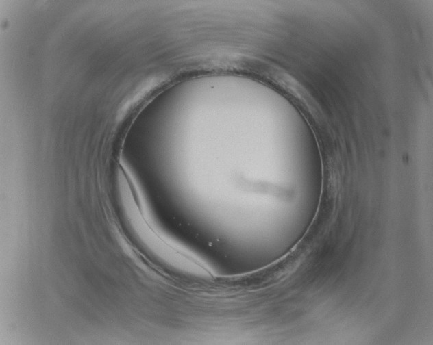 X0000062670677200601181901