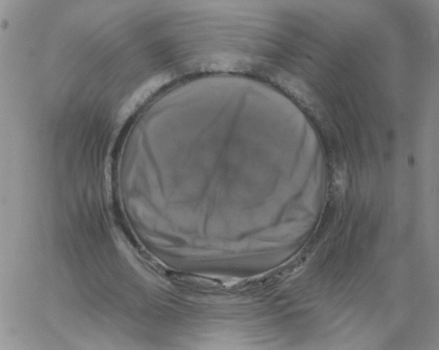 X0000062670678200601181901