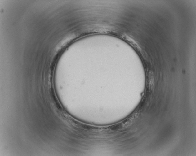 X0000062670679200601181901