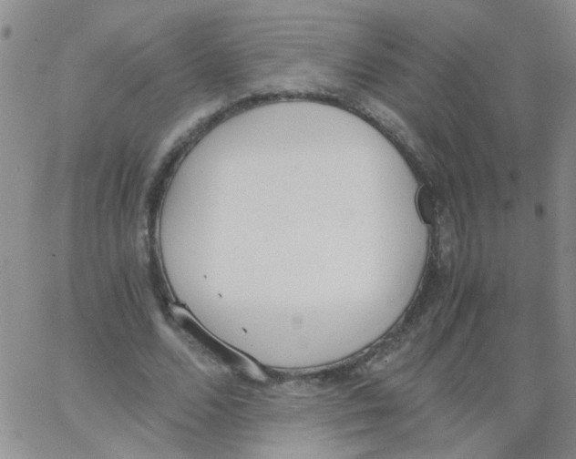 X0000062670680200601181901