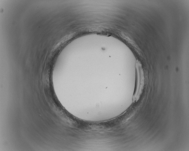 X0000062670681200601181901