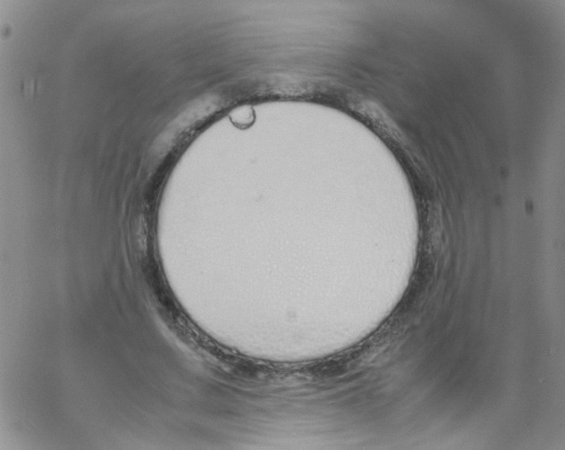 X0000062670683200601181901