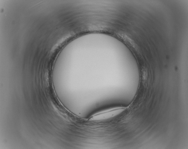 X0000062670684200601181901