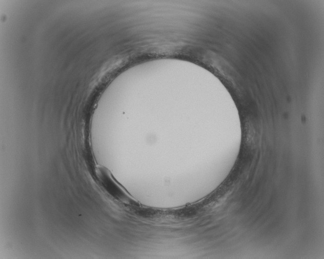 X0000062670685200601181901