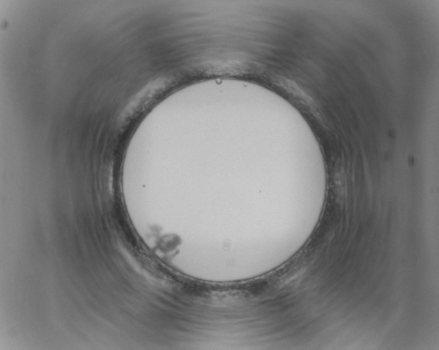 X0000062670686200601181901