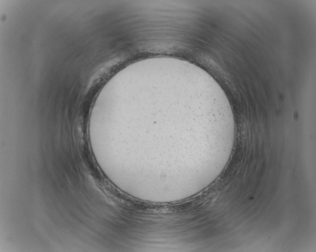 X0000062670688200601181901