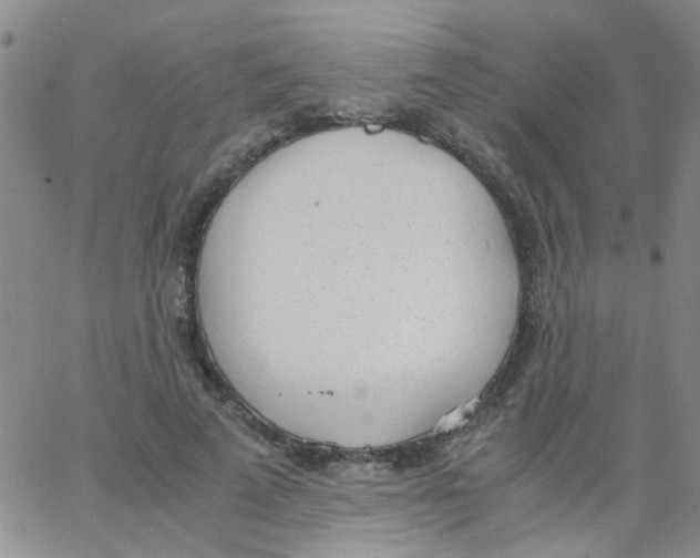 X0000062670689200601181901