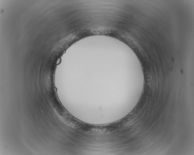 X0000062670690200601181901