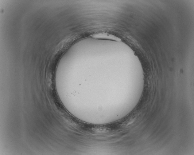 X0000062670693200601181901