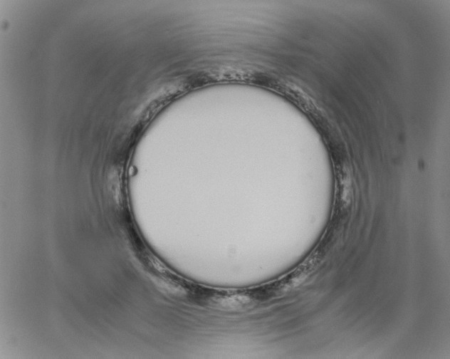 X0000062670695200601181901