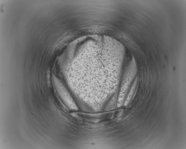 X0000062670696200601181901